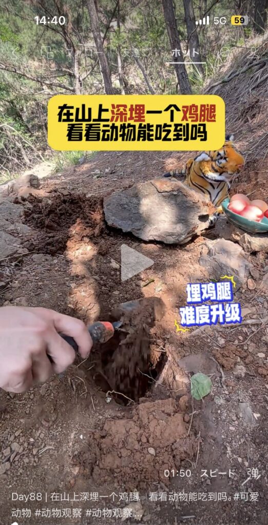 Wechatの動画コンテンツ