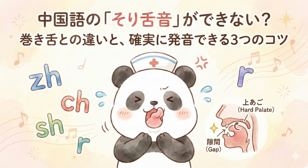 「中国語の『そり舌音』ができない？巻き舌との違いと、確実に発音できる3つのコツ」というタイトル文字。ナースキャップを被ったパンダが、そり舌音（zh, ch, sh, r）の発音に苦戦して汗をかいている水彩イラスト。パンダの横には、正しい舌の位置と「上あご（Hard Palate）」「隙間（Gap）」を示す小さな口の断面図が描かれている。