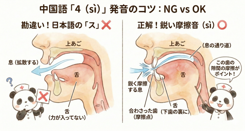 中国語の数字「4（sì）」の発音において、舌が平らで上あごから離れた状態の口の断面図。日本語の「シ」のような舌の位置で、空気が拡散してしまい、「10（shí）」と区別がつかないため「勘違い！」としてNG（❌）とされている。困った顔をしたパンダの看護師が❌の看板を持ち、疑問符が浮かんでいる。