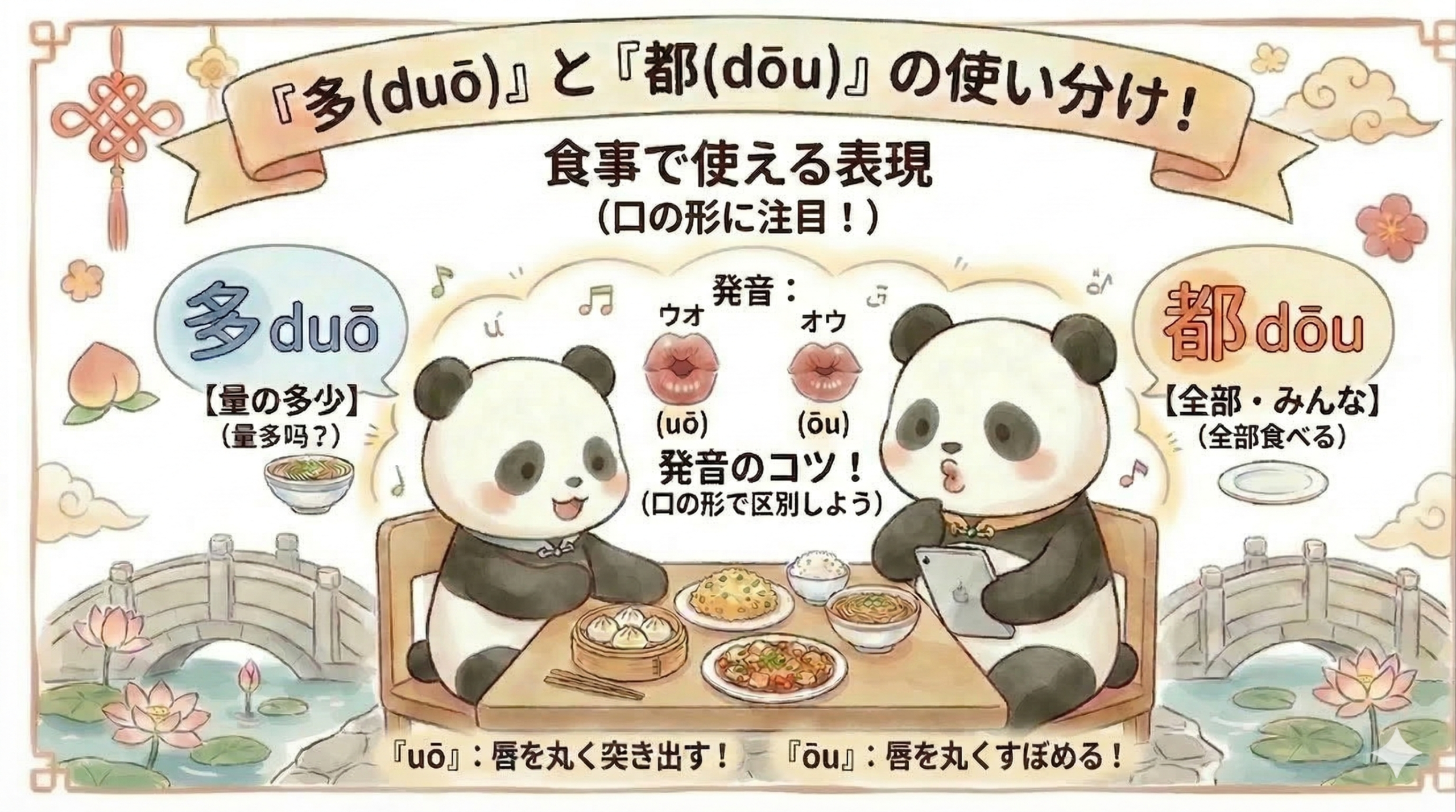 中国語の「多(duō)」と「都(dōu)」の発音の違いと使い分けを、口の形と食事シーンで解説したパンダのイラスト