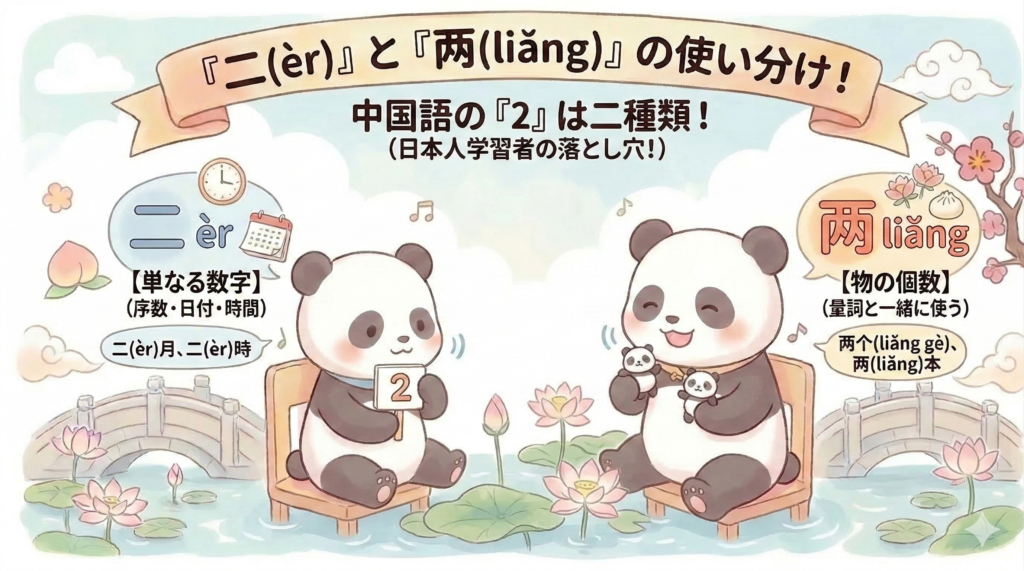 中国語の数字「2」の使い分け、èr（二）とliǎng（両）を解説するインフォグラフィック。左側のパンダがèrを担当し、カレンダーや時計のアイコンと共に「単なる数字（序数・日付・時間）」と解説。例は二月、二時。右側のパンダがliǎngを担当し、小籠包や桃、パンダのぬいぐるみのアイコンと共に「物の個数（量詞と一緒に使う）」と解説。例は两个、两本。上部には「『二(èr)』と『両(liǎng)』の使い分け！中国語の『2』は二種類！(日本人学習者の落とし穴！)」と書かれている。蓮の池の背景。